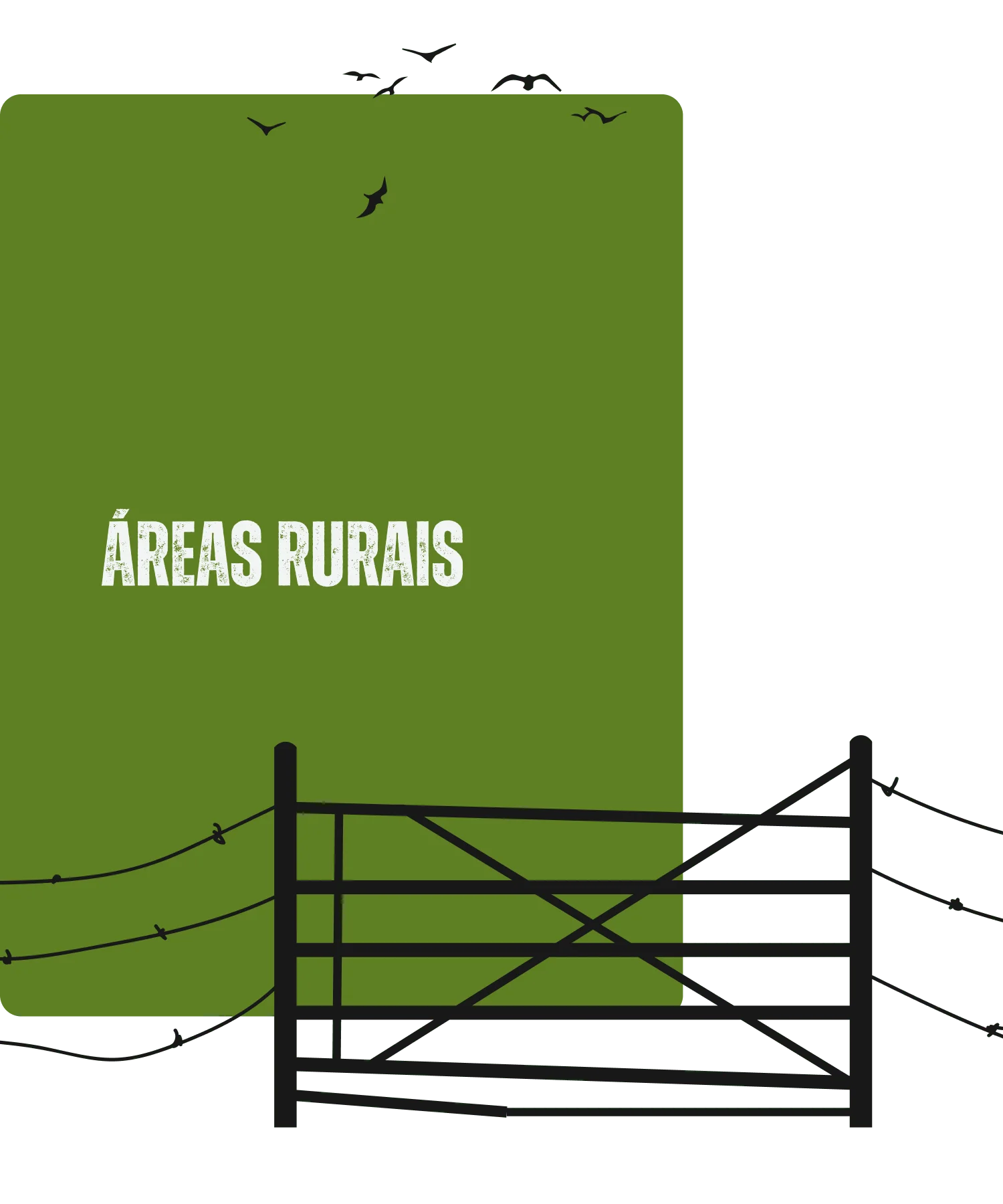 Areas Rurais